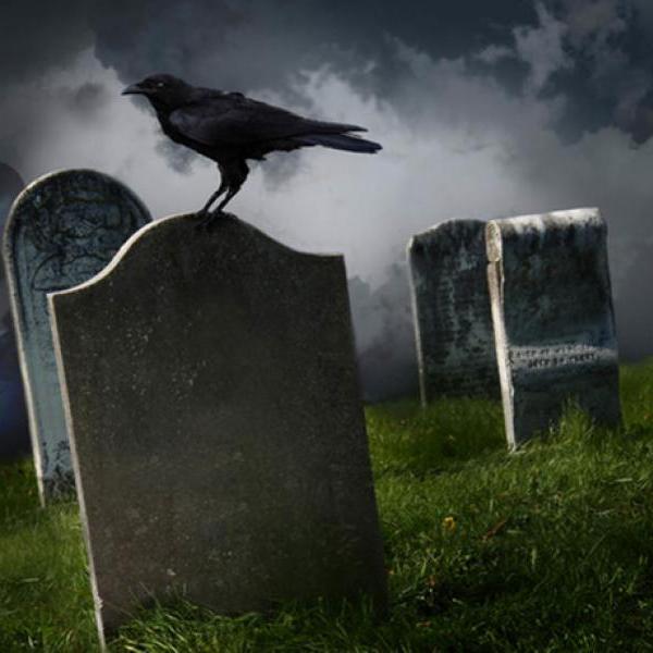  Зловредные мертвецы: 15 легендарных завещаний