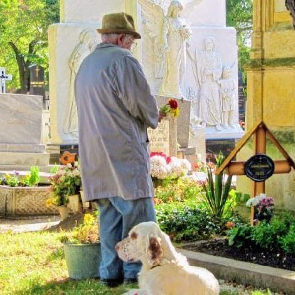 В Вене теперь есть общее кладбище для людей и животных 