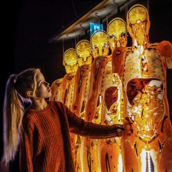 В Киеве впервые покажут шокирующую выставку человеческих тел после смерти